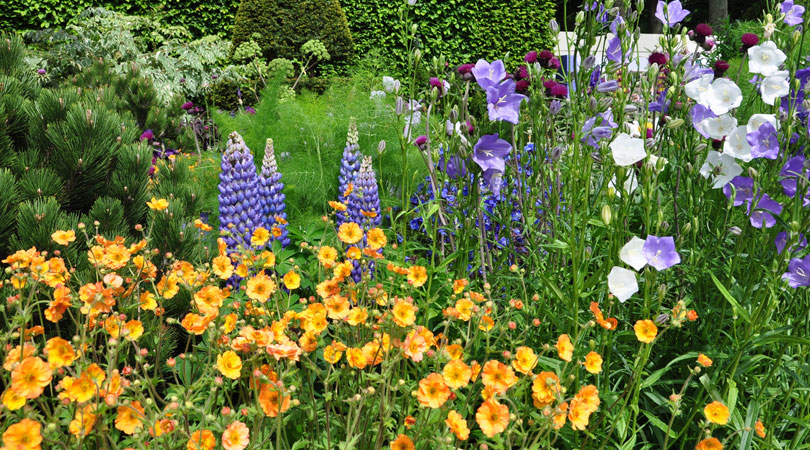 Take spring trips to the best flower gardens in the UK; Bedandbreakfast.eu
