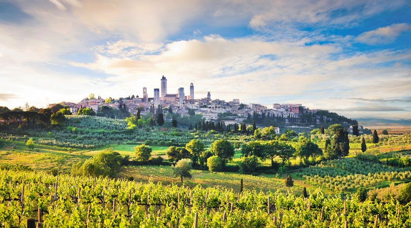 5 Tour del Vino in Italia, idee di viaggio; Bedandbreakfast.eu